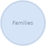 Families icon
